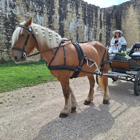 Et Chevaux דירה Sablonnieres