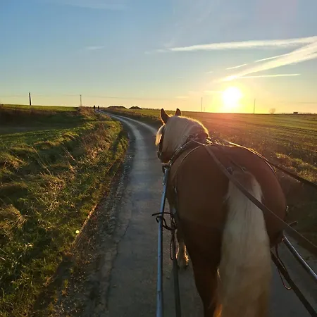 דירה Et Chevaux *