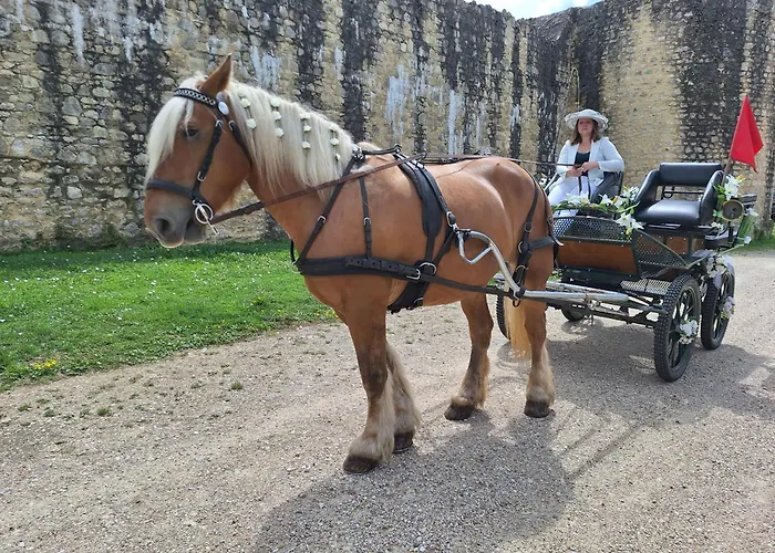 Et Chevaux Appartement Sablonnieres