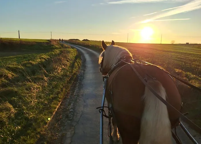 Appartement Et Chevaux *